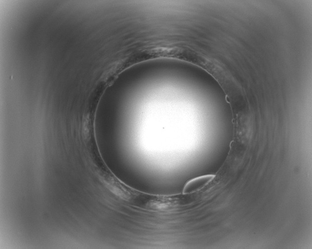 X0000071810563200607072120