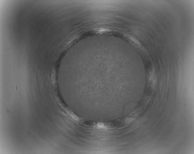 X0000071810565200607072120