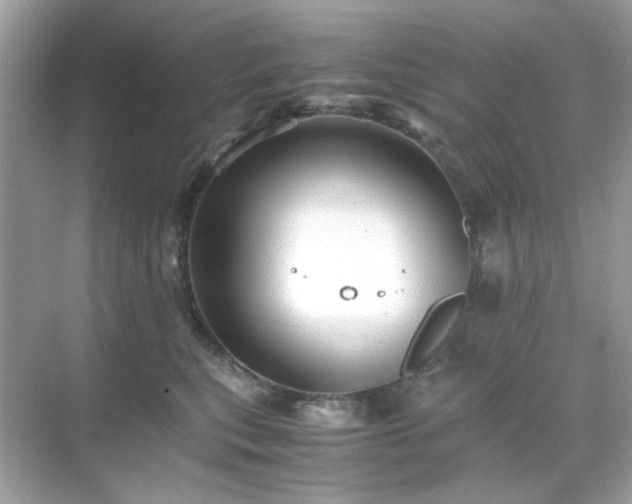 X0000071810567200607072120