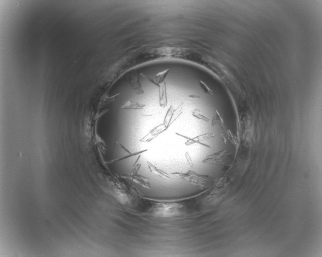 X0000071810569200607072120