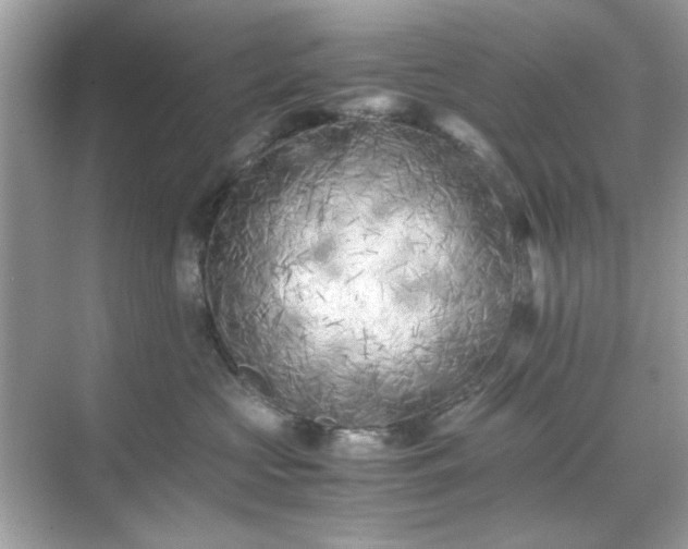 X0000071810573200607072120