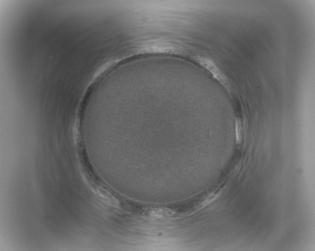 X0000071810579200607072120