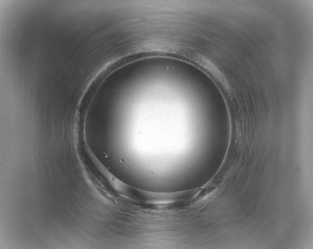 X0000071810580200607072120