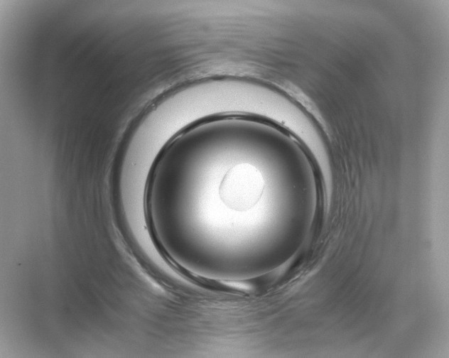 X0000071810581200607072120