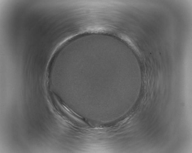 X0000071810583200607072119