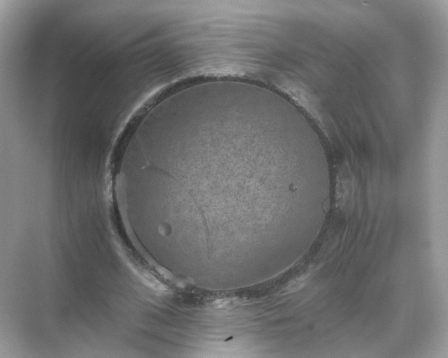 X0000071810584200607072119