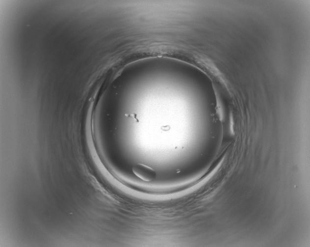 X0000071810585200607072119