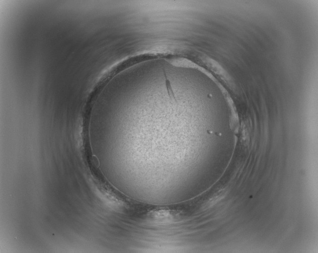 X0000071810588200607072119