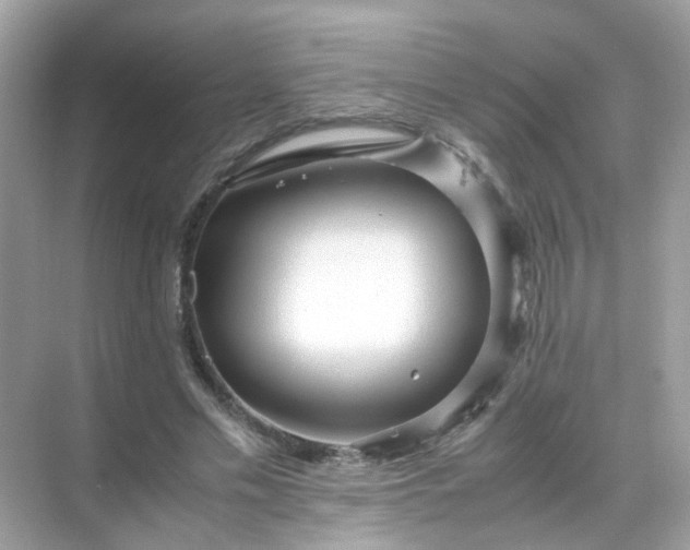 X0000071810589200607072119