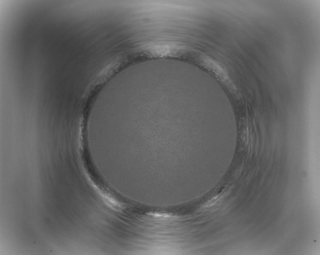 X0000071810590200607072119