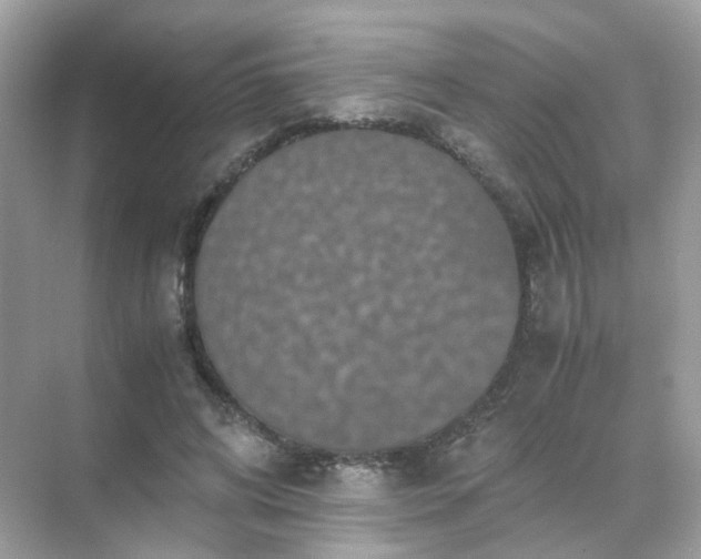 X0000071810592200607072119