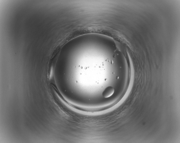 X0000071810593200607072119