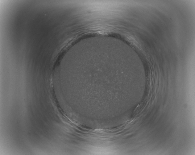 X0000071810595200607072119