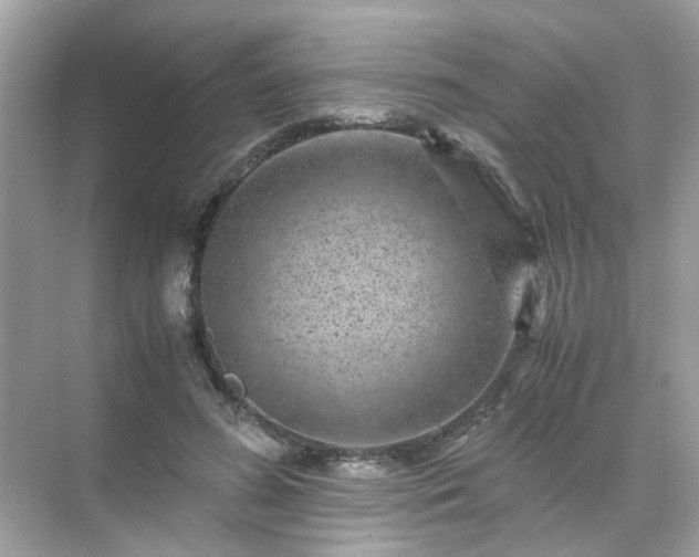 X0000071810596200607072119