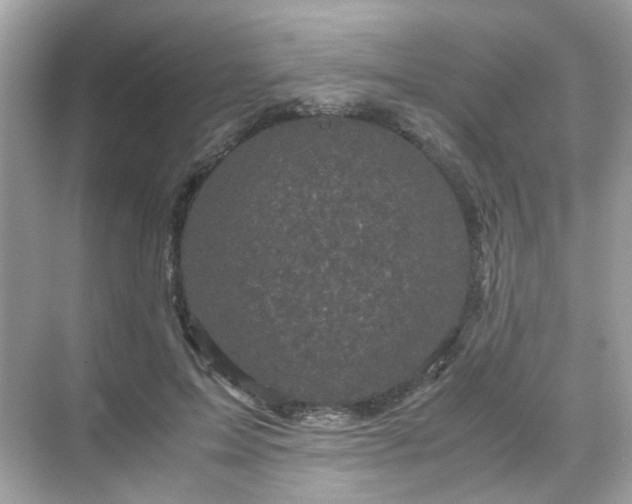 X0000071810599200607072119