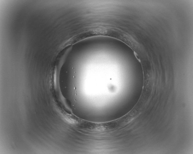 X0000071810600200607072119