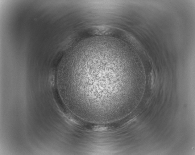 X0000071810602200607072119