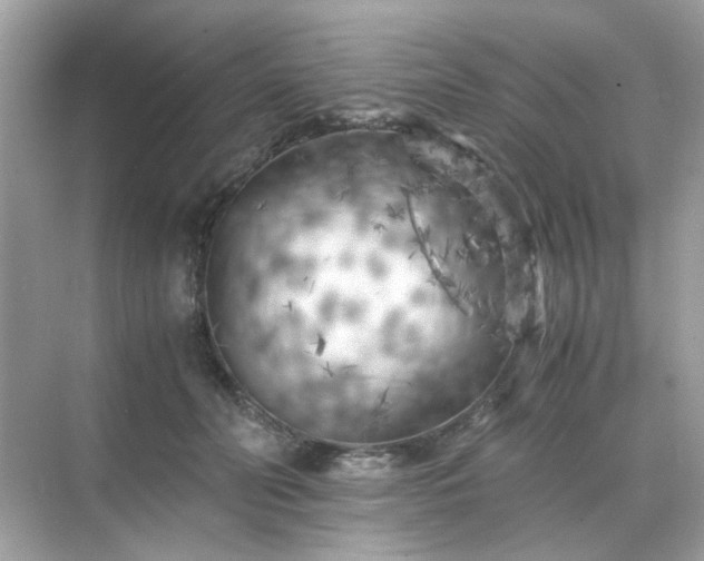 X0000071810606200607072119