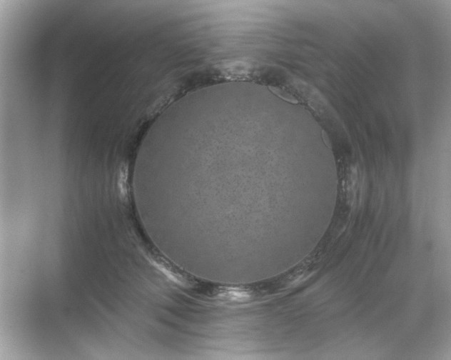 X0000071810610200607072119