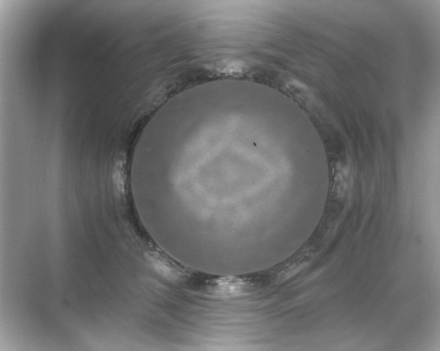 X0000071810612200607072119