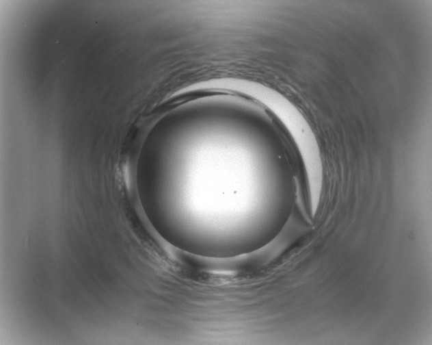 X0000071810613200607072119