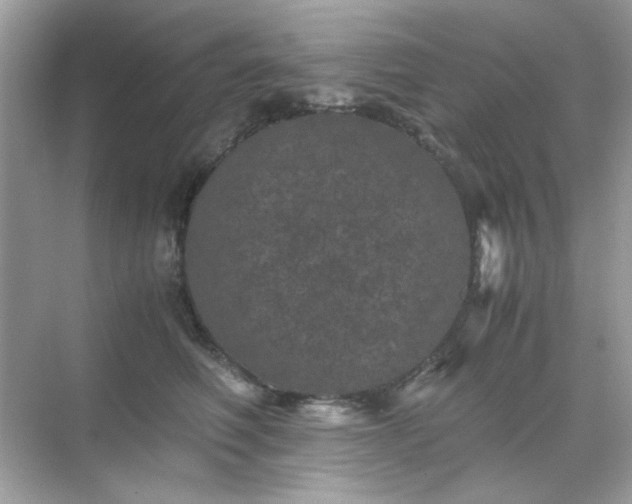 X0000071810614200607072119