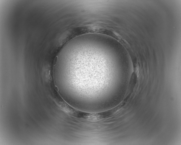 X0000071810615200607072119