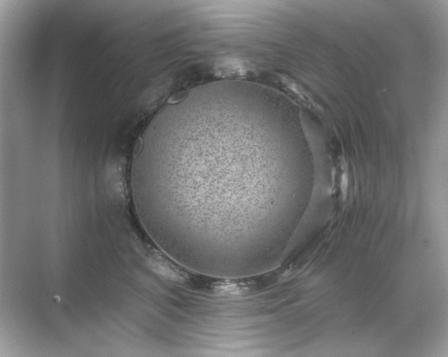 X0000071810616200607072119