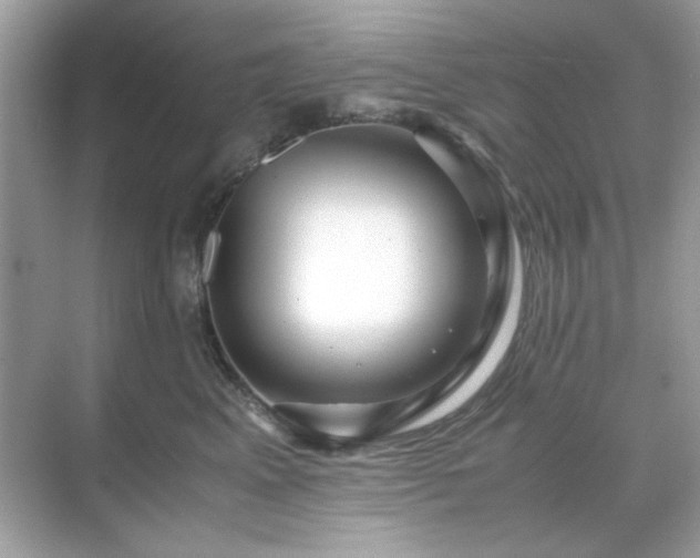 X0000071810617200607072119