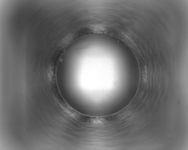 X0000071810618200607072119