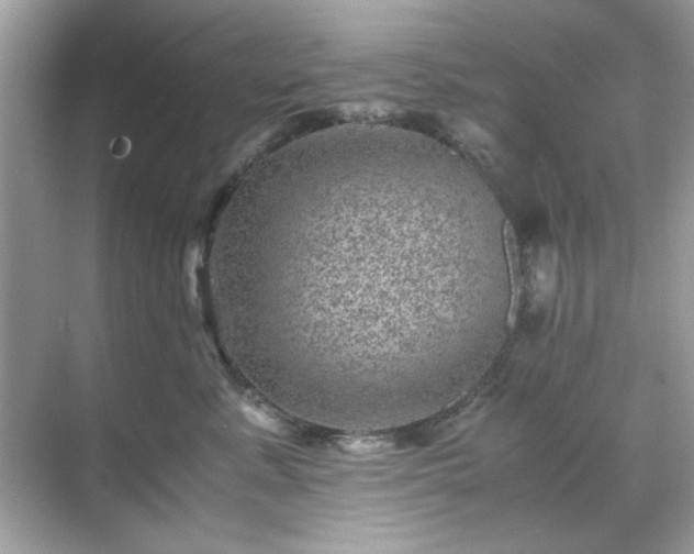 X0000071810619200607072119