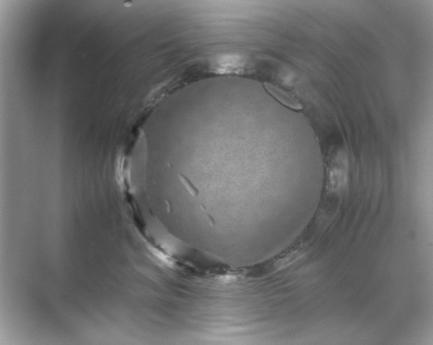 X0000071810620200607072119