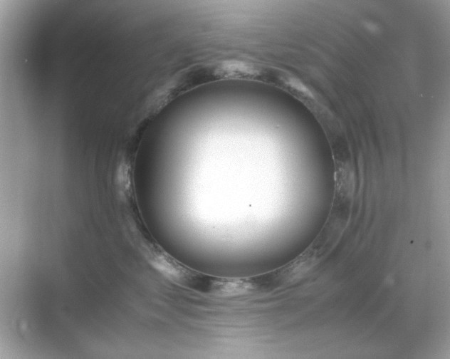 X0000071810621200607072119