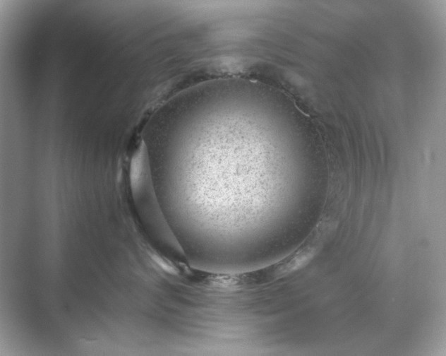 X0000071810624200607072119