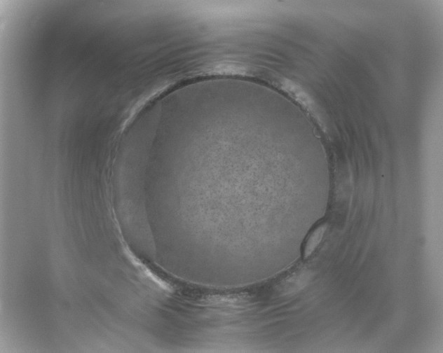 X0000071810625200607072118