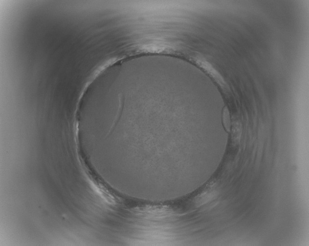 X0000071810626200607072118