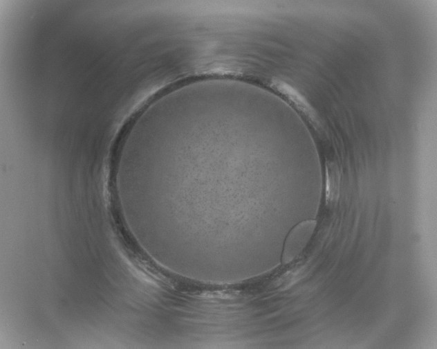 X0000071810627200607072118