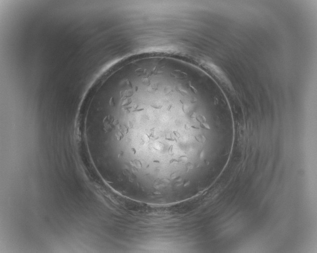 X0000071810628200607072118