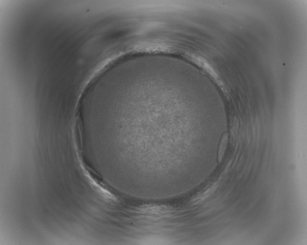 X0000071810629200607072118