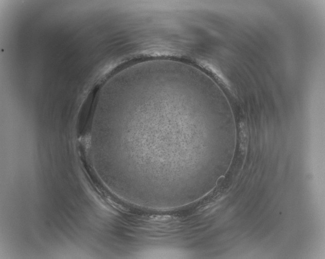 X0000071810631200607072118