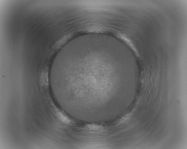 X0000071810633200607072118