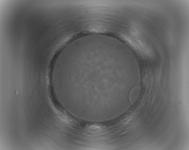 X0000071810635200607072118