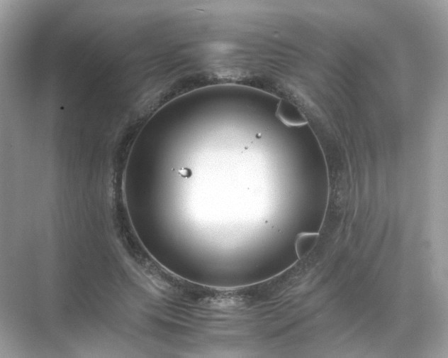 X0000071810639200607072118