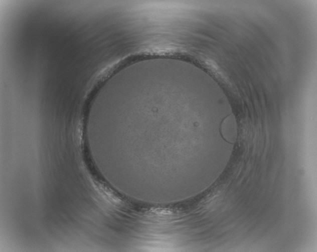 X0000071810640200607072118