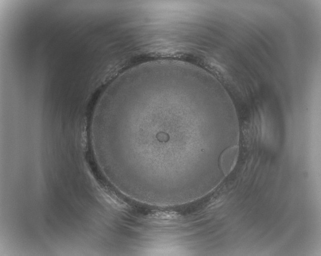 X0000071810642200607072118