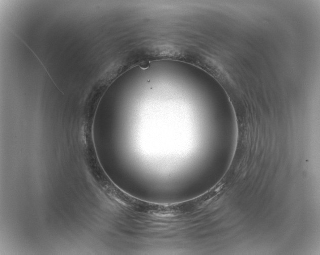 X0000071810643200607072118