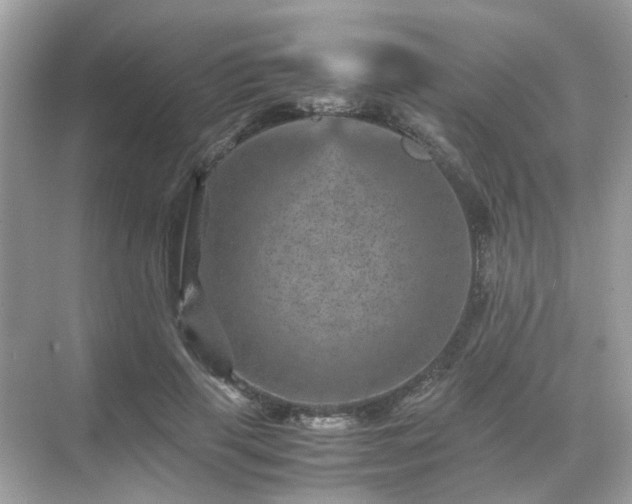 X0000071810645200607072118