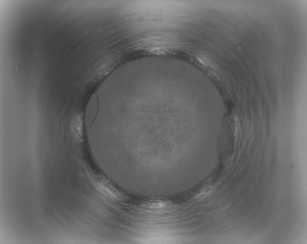 X0000071810646200607072118