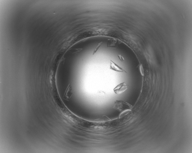 X0000071810649200607072118