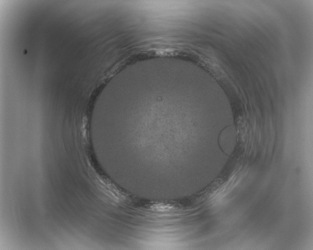 X0000071810650200607072118